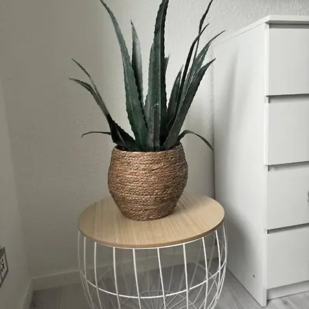 Apartmán Singles Oder Paare Aufgepasst! Schonach im Schwarzwald