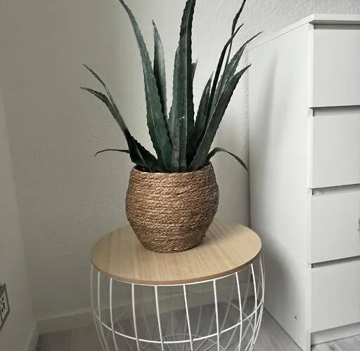 Appartement Singles Oder Paare Aufgepasst! Schonach im Schwarzwald